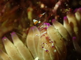 P9050231