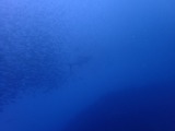 P9190458