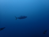 P6250087