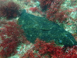 P7160513