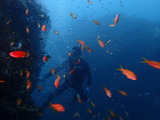 P8020881