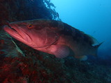 P9060270