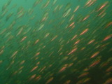 P6130118