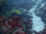 P7050191