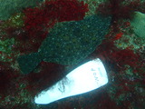P7200589