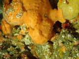 P9140438