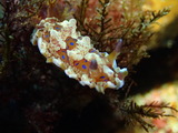 P8121157