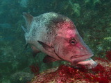 P6140157