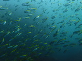 P7060258