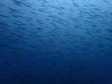 P7200597