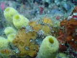 P7080308