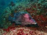 P9050245