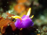 P7200593