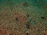 P7060252