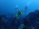 P8121147