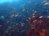 P6250067
