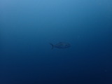 P9060258