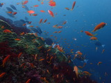 P9060271