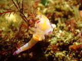 P7150480