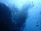 P7100355