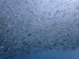 P7140440