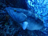 P8091042