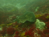 P6130123