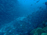 P6250092