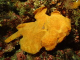P9190456