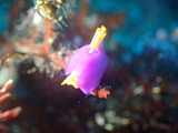 P8141218