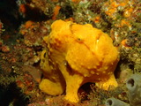 P9060264