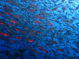 P8091008