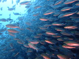 P7100369