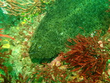 P7150454