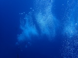 NISHIKAWANA BLUE
