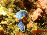 P7160500