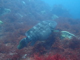 P7140400