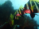 P7200582