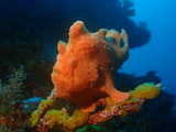 P8141232