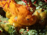 P7060273