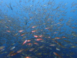 P7100377
