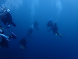 P8121164