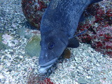 P7100356