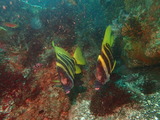 P9050232
