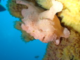 P8121156