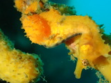 P7060272