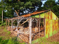 P1000739