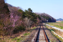 P1030856