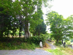 P1000791