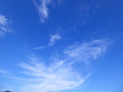 P1000558